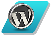 Advance WordPress themes course